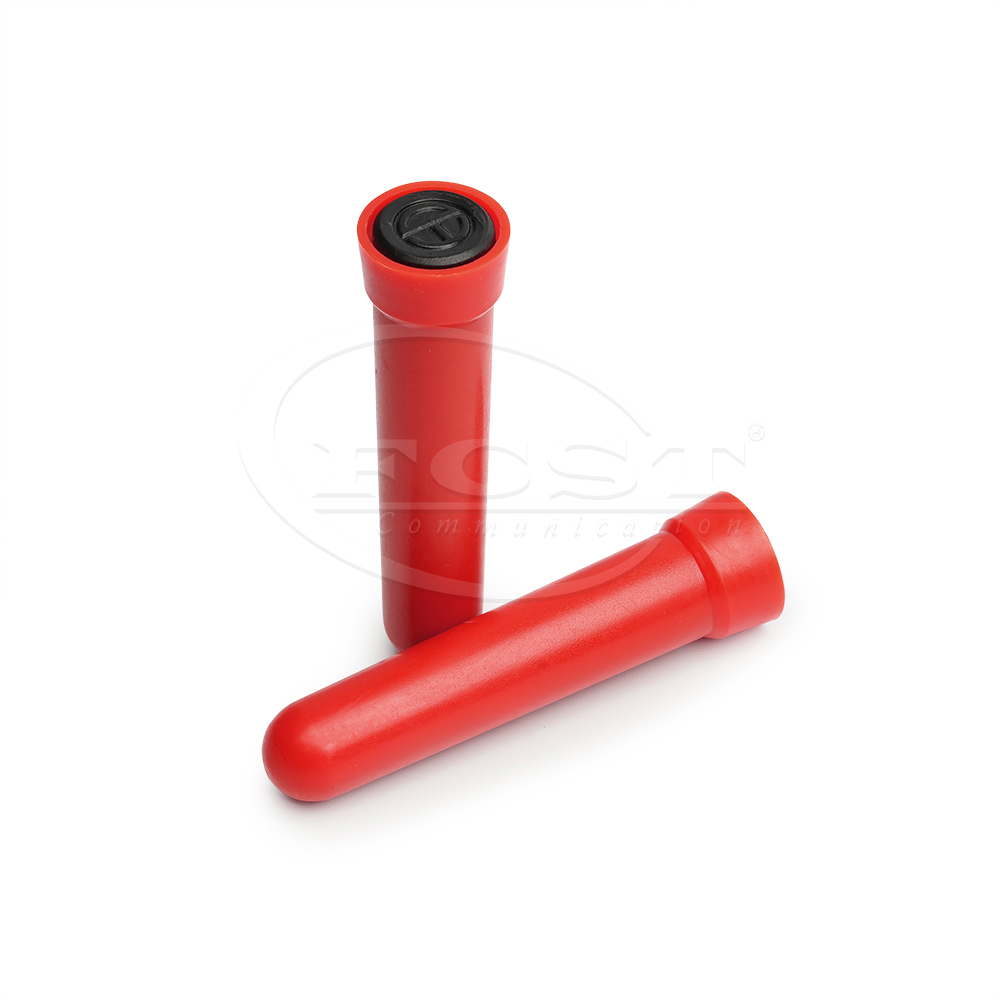 FCST-PUEM3 169.8kHz Near-Surface Markers-For Electricity