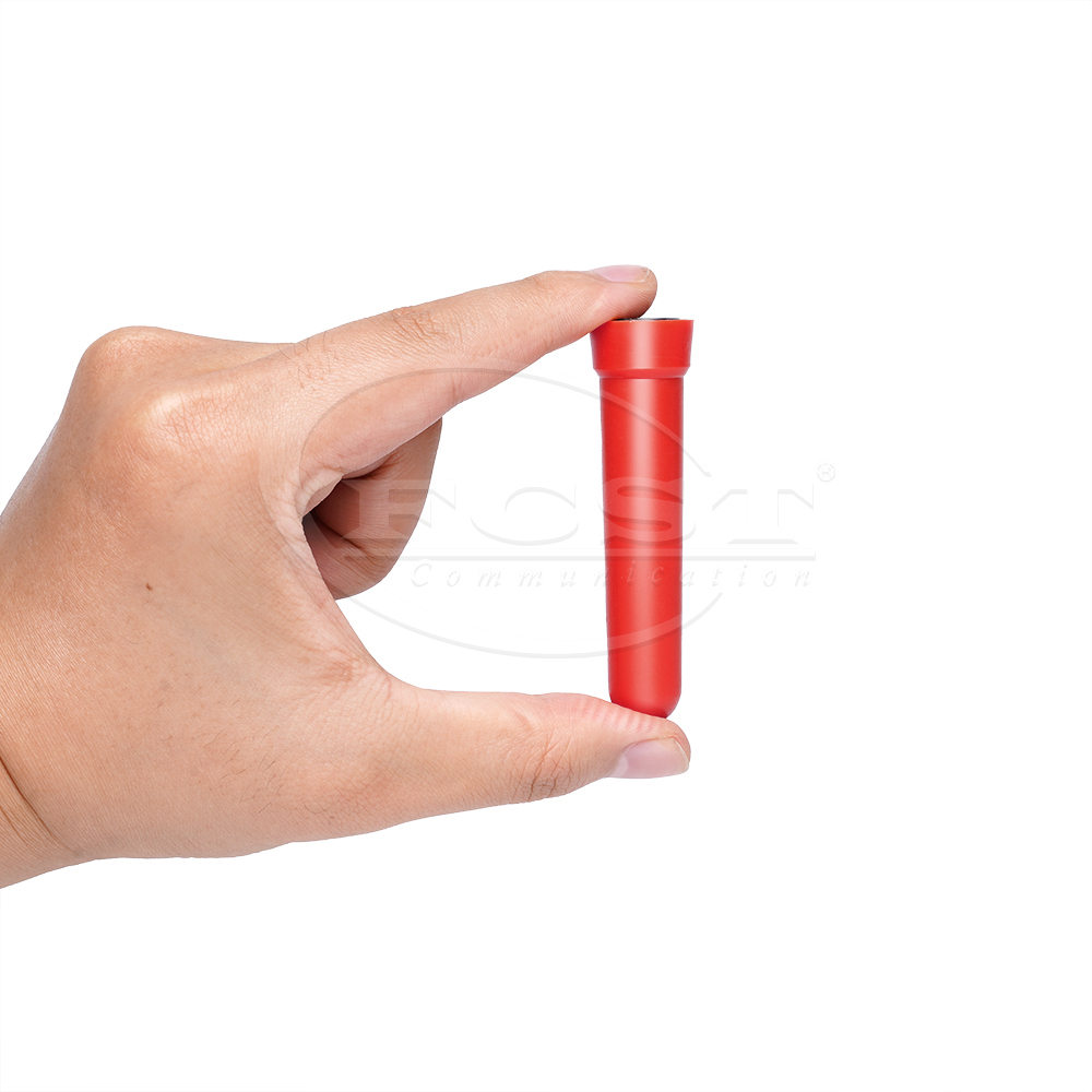 FCST-PUEM3 169.8kHz Near-Surface Markers-For Electricity