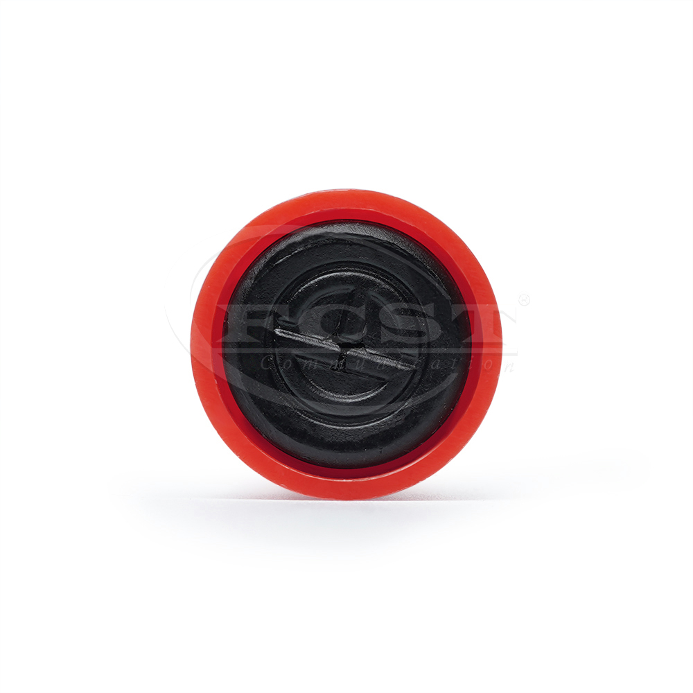 FCST-PUEM3 169.8kHz Near-Surface Markers-For Electricity